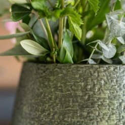 Noor Plant Vase - Velvet Green -Plant Supplies Sale Noor Plant Pot Velvet Green 5 c5477a95 00c2 40e5 97f9 53e78b6bc95c
