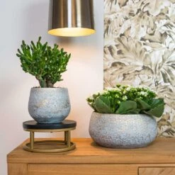 Noor Plant Bowl - Metallic Grey -Plant Supplies Sale Noor metalic grey 01