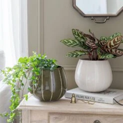 Nova Plant Pot - Green -Plant Supplies Sale Nova Plant Pot Cream 23 x 18cm 11781764 6d1a 4491 88d6 b6d75afe7217