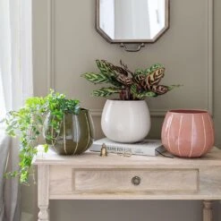 Nova Plant Pot - Cream -Plant Supplies Sale Nova Plant Pot Rose 23 x 18cm 2