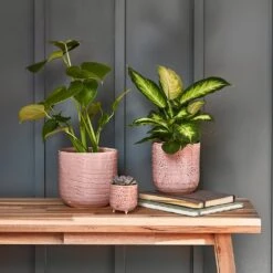 Ocean Glaze Plant Pot - Morganite -Plant Supplies Sale Ocean Glaze Plant Pot Morganite 13 x 13cm