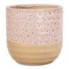 Ocean Glaze Plant Pot - Morganite