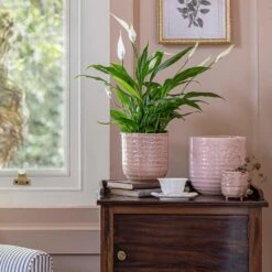 Ocean Glaze Plant Pot - Morganite -Plant Supplies Sale Ocean Glaze Plant Pot Morganite 16 x 16cm