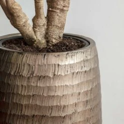 Opus Hammered Partner Planter - Gold 8 Opus Hammered Partner Planter - Gold -Plant Supplies Sale Opus Hammered Partner Planter Gold 1