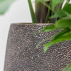 Opus Hit Darcy Planter - Gold -Plant Supplies Sale Opus Hit Darcy Planter Gold Textures