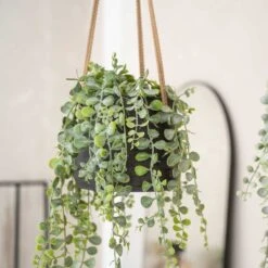 Patt Hanging Plant Pot - Black Washed -Plant Supplies Sale Patt Hanging Plant Pot Black Washed Trailing Houseplant