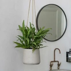 Patt Hanging Plant Pot - Grey Washed -Plant Supplies Sale Patt Hanging Plant Pot Grey Washed