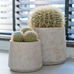 Patt Plant Pot - Grey Washed -Plant Supplies Sale Patt Plant Pot Grey Washed Cacti