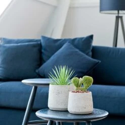 Patt Plant Pot - Grey Washed -Plant Supplies Sale Patt Plant Pot Grey Washed Houseplants