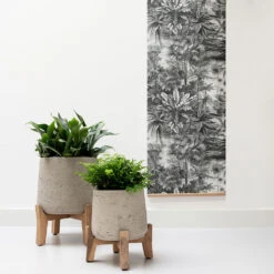 Patt Plant Pot - Low Stand - Grey Washed -Plant Supplies Sale Patt Plant Pot Low Stand Grey Washed Lifestyle 01