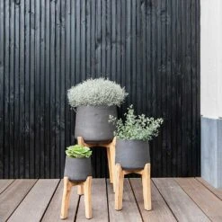 Patt Plant Pot - Tall Stand - Black Washed -Plant Supplies Sale Patt Plant Pot Tall Stand Black Washed Lifestyle 01