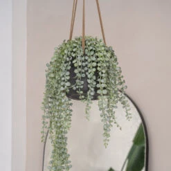 Patt Hanging Plant Pot - Black Washed -Plant Supplies Sale PattHangingPlantPot BlackWashed 3