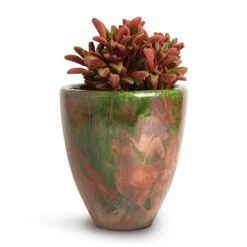 Peperomia Graveolens - Ruby Glow Radiator Plant 17 Peperomia Graveolens - Ruby Glow Radiator Plant -Plant Supplies Sale Peperomia graveolens Ruby Glow Radiator Plant 10.5x17cm Livin Beauty Flowerpot Copper Green Matt Smooth 15x17cm