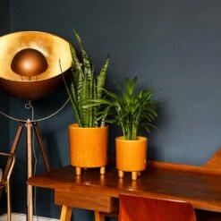 Pisa Plant Pot - Mustard 11 Pisa Plant Pot - Mustard -Plant Supplies Sale Pisa Plant Pot Mustard 20 x 24cm