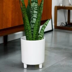 Pisa Plant Pot - White -Plant Supplies Sale Pisa Plant Pot White 20 x 24cm