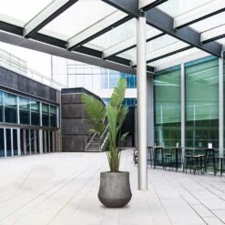 Polystone Coated Darcy Planter - Raw Grey 12 Polystone Coated Darcy Planter - Raw Grey -Plant Supplies Sale Polystone Coated Darcy Planter Raw Grey LS1