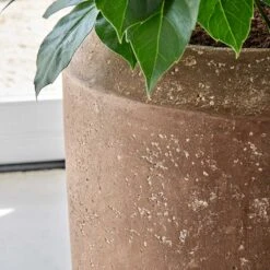 Polystone Coated Plain Coppa Planter - Rock -Plant Supplies Sale Polystone Coated Plain Coppa Planter Rock 1
