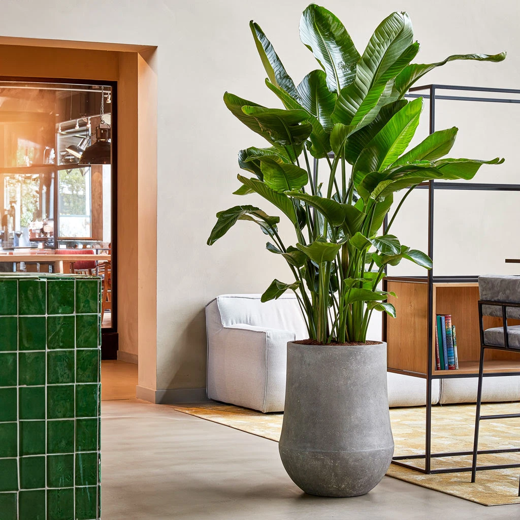 Polystone Coated Darcy Planter - Raw Grey 2 Polystone Coated Darcy Planter - Raw Grey - Image 2