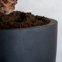 Jesslyn Natural Planter - Black -Plant Supplies Sale ProductsJesslynNaturalPlanter Black 2