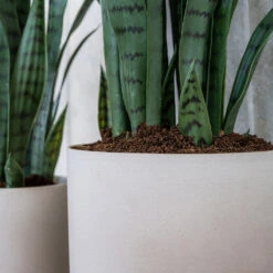 Puk Refined Planter - Natural White -Plant Supplies Sale Puk Refined Planter Natural White Lifestyle 002