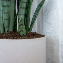 Puk Refined Planter - Natural White -Plant Supplies Sale Puk Refined Planter Natural White Lifestyle 003