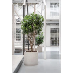 Raindrop Cube Planter - Stone 24 Raindrop Cube Planter - Stone -Plant Supplies Sale Raindrop Cube Planter Stone Lifestyle