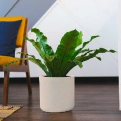 Raindrop Round Planter - Stone 13 Raindrop Round Planter - Stone -Plant Supplies Sale Raindrop Round Planter Stone Indoor Plant