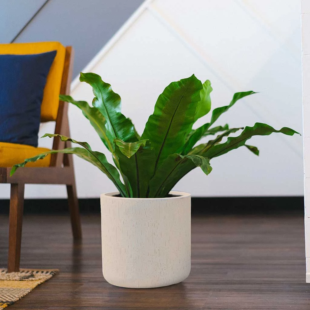 Raindrop Round Planter - Stone 4 Raindrop Round Planter - Stone - Image 4