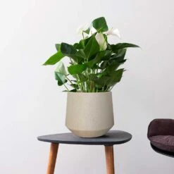 Raindrop Tube Round Planter - Stone -Plant Supplies Sale Raindrop Tube Round Planter Stone Indoor Plant
