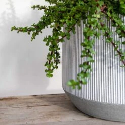 Harith Plant Pot - Ridged White Stripe -Plant Supplies Sale Ridged Harith Plant Pot White Stripe Close Up