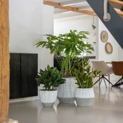 Harley Plant Pot - Ridged White Stripe -Plant Supplies Sale Ridged White Stripe Planters