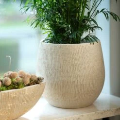 Ryan Plant Pot - Sand Gold -Plant Supplies Sale Ryan Plant Pot Sand Gold Parlour Palm