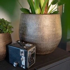 Ryan Plant Pot - Shiny Gold -Plant Supplies Sale Ryan Plant Pot Shiny Gold Lifestyle 02