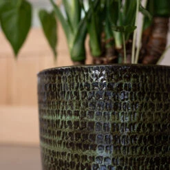 Sanna Plant Pot - Moss Green -Plant Supplies Sale Sanna Moss Green 2