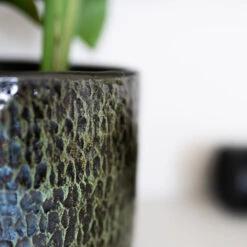 Sanna Plant Pot - Moss Green -Plant Supplies Sale Sanna Moss Green 5