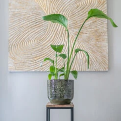 Sanna Plant Pot - Moss Green -Plant Supplies Sale Sanna Moss Green 7