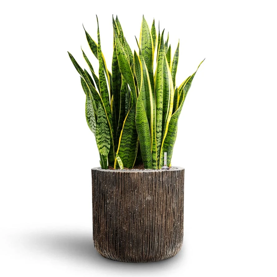 Luxe Lite Waterfall Cylinder Planter - Bronze 2 Luxe Lite Waterfall Cylinder Planter - Bronze - Image 2