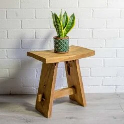 Sansevieria Trifasciata Futura Superba -Plant Supplies Sale Sansevieria trifasciata Futura Superba liam turquoise plant pot natural