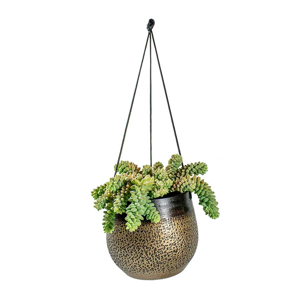 Mya Hanging Planter - Deep Champagne 3 Mya Hanging Planter - Deep Champagne - Image 3