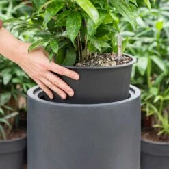 Solid Cylinder Planter - Dark Grey -Plant Supplies Sale Solid Cylinder Planter Dark Grey 1