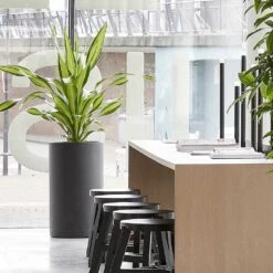 Solid Cylinder Planter - Dark Grey -Plant Supplies Sale Solid Cylinder Planter Dark Grey 3