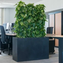 Solid Rectangle Planter - Dark Grey -Plant Supplies Sale Solid Rectangle Planter Dark Grey 1