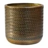 Solis Embossed Plant Pot - Gold