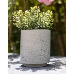 Suzi Plant Pot - Grey Washed -Plant Supplies Sale Suzi Plant Pot Grey Washed Outdoor Plant