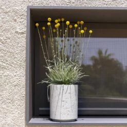 Suzi Plant Pot - Grey Washed -Plant Supplies Sale Suzi Plant Pot Grey Washed Outdoor Plants