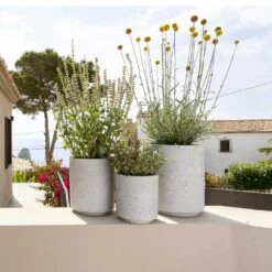 Suzi Plant Pot - Grey Washed -Plant Supplies Sale Suzi Plant Pots Grey Washed Outdoor Plants