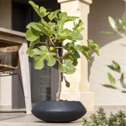 Tara Natural Bowl Planter - Black -Plant Supplies Sale TaraNaturalPlanter Black 3