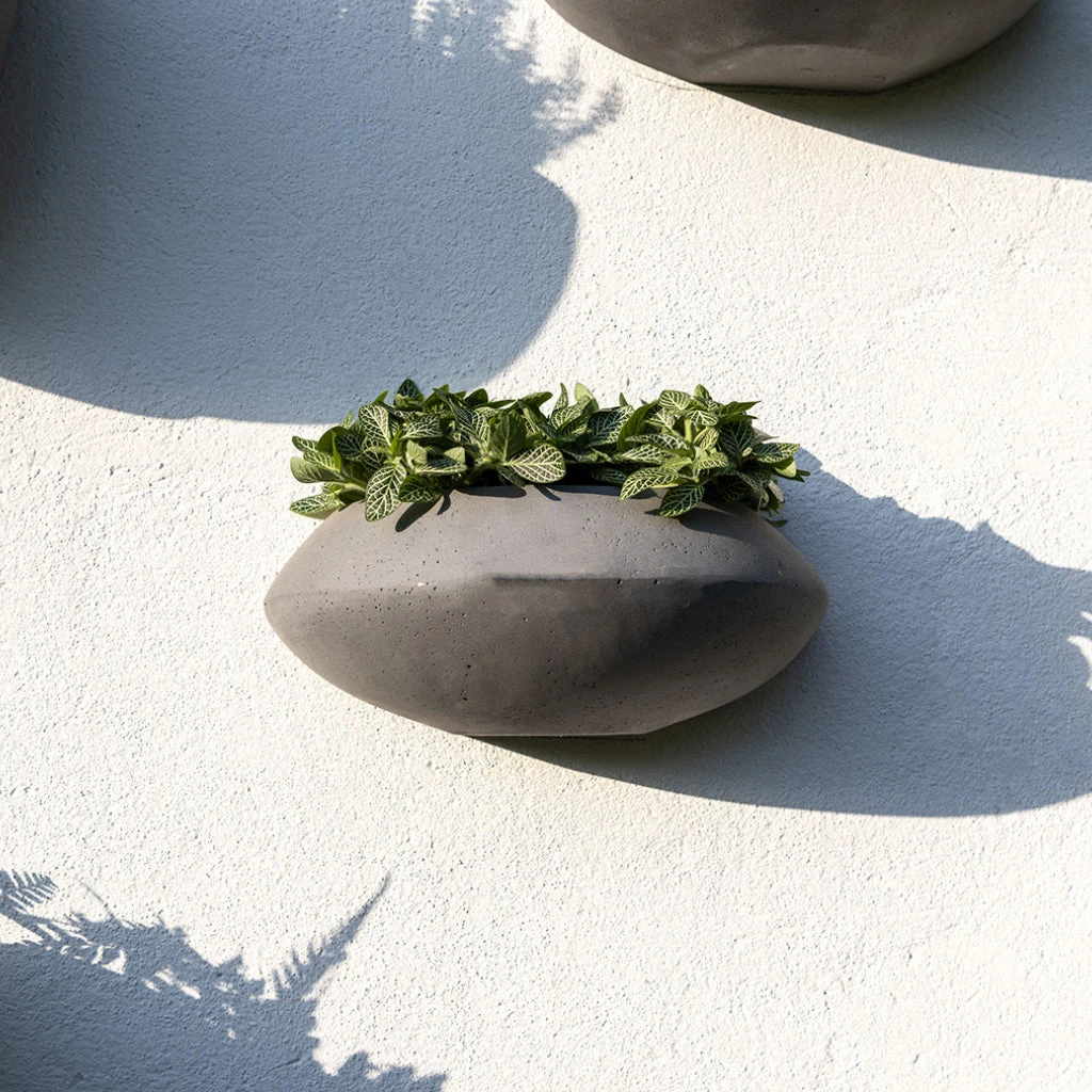 Tara Natural Wall Planter - Black 2 Tara Natural Wall Planter - Black - Image 2