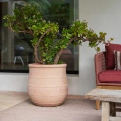 Treasure Nika Planter - Brick Orange -Plant Supplies Sale Treasure Nika Planter Brick Orange Lifestyle1