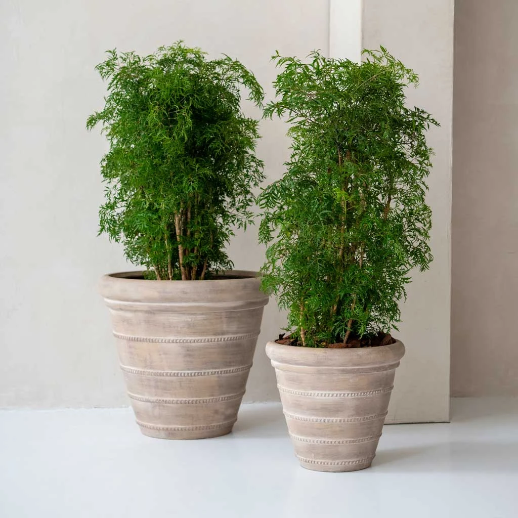 Treasure Selena Planter - Chalk Beige 2 Treasure Selena Planter - Chalk Beige - Image 2